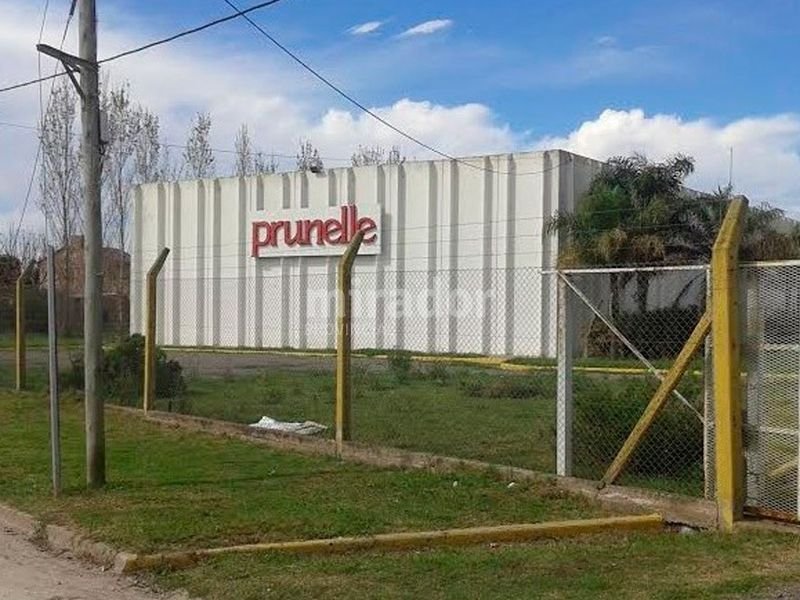 Luz verde para que Prunelle vuelva a producir shampoo