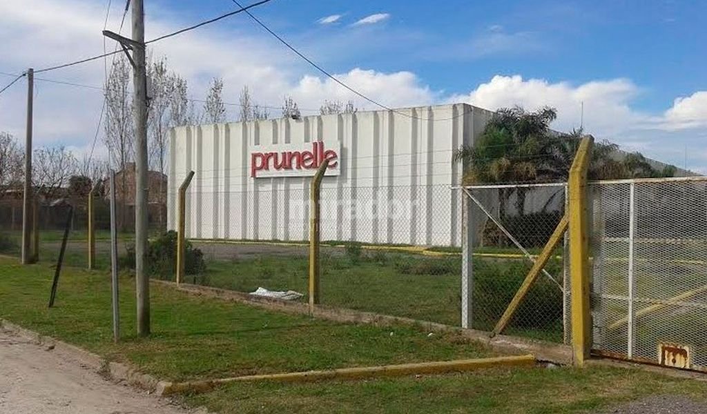 Luz verde para que Prunelle vuelva a producir shampoo