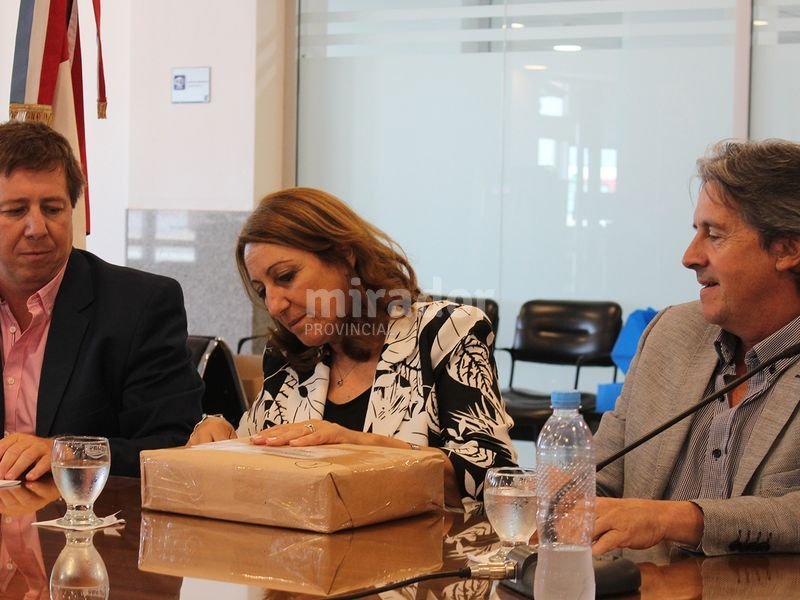 Ofertas para terminal nueva en el aeropuerto de Rosario