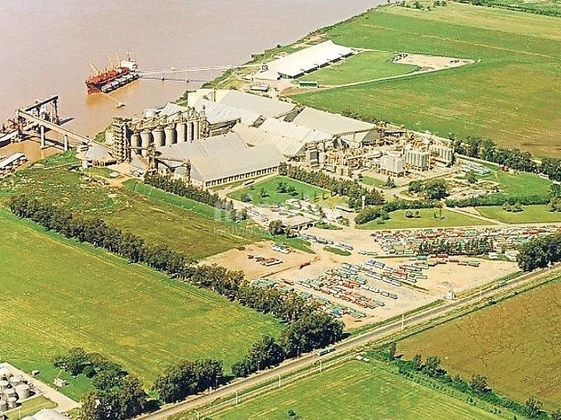 Cargill frenó sus operaciones