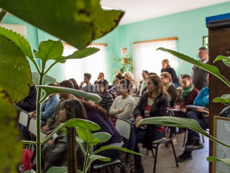 Rosario: actividades por el Día Mundial del Medio Ambiente