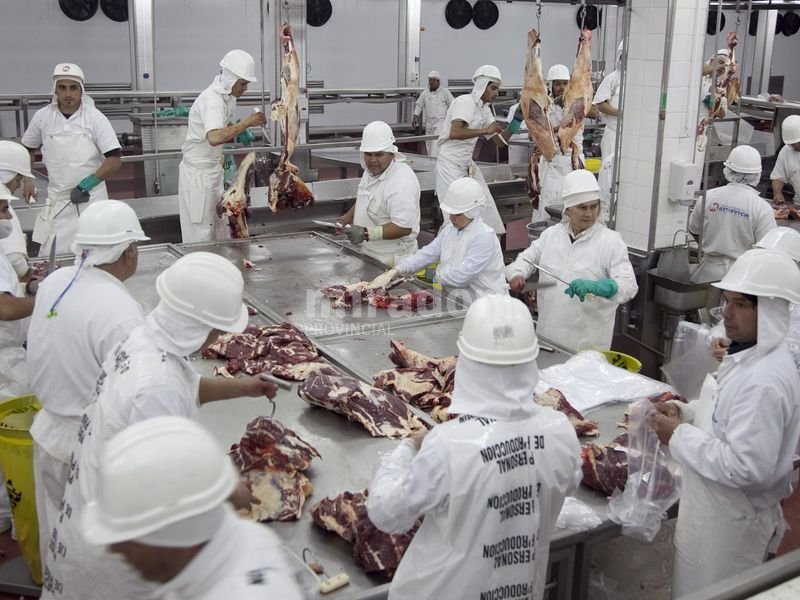 Las vaquitas son ajenas, pero generan negocios para los frigoríficos santafesinos
