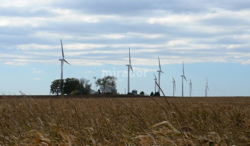 Sa Pereira: Enerfe instalará una torre de medición eólica