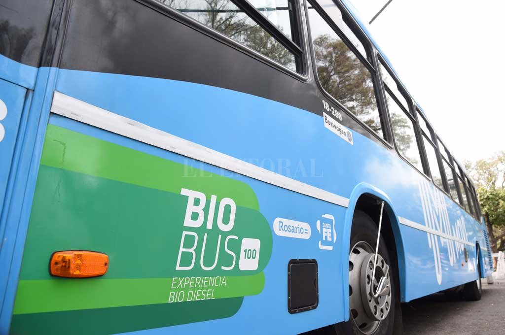 El futuro llegó: las energías renovables van por un salto de escala en Santa Fe
