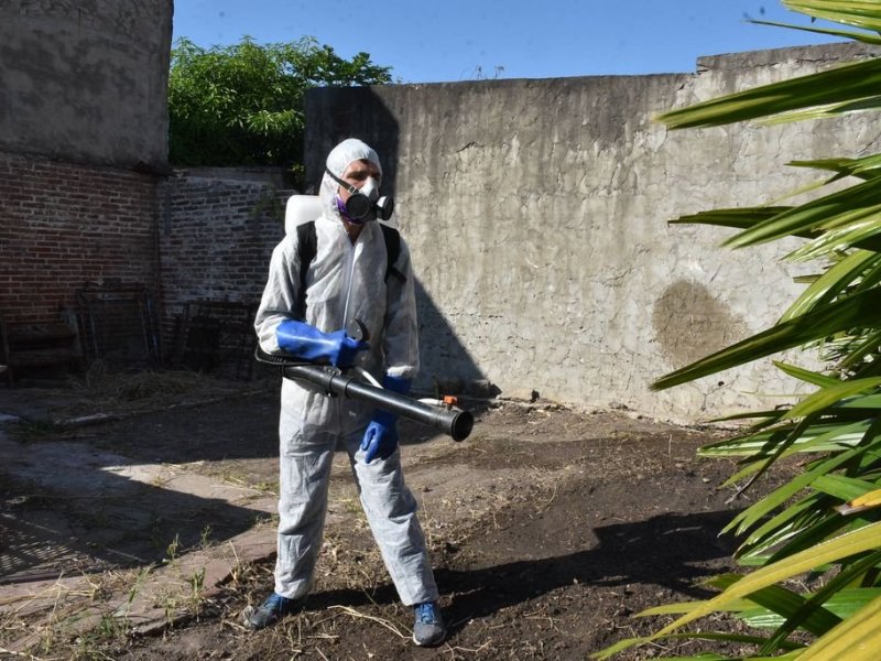Dengue, la otra epidemia: con 491 nuevos casos en una semana hay 3.701 contagiados