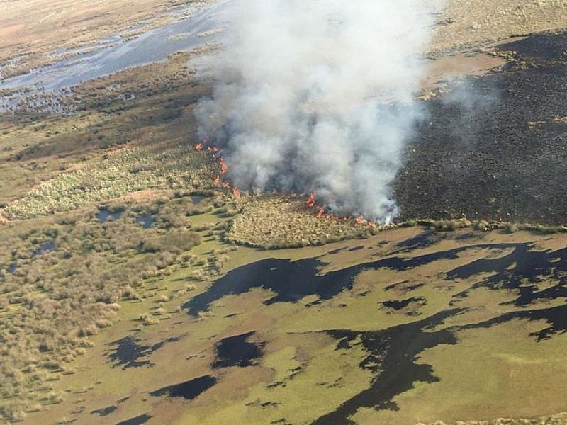 Sequía y bajante del Paraná: escenario propicio para los incendios en las islas