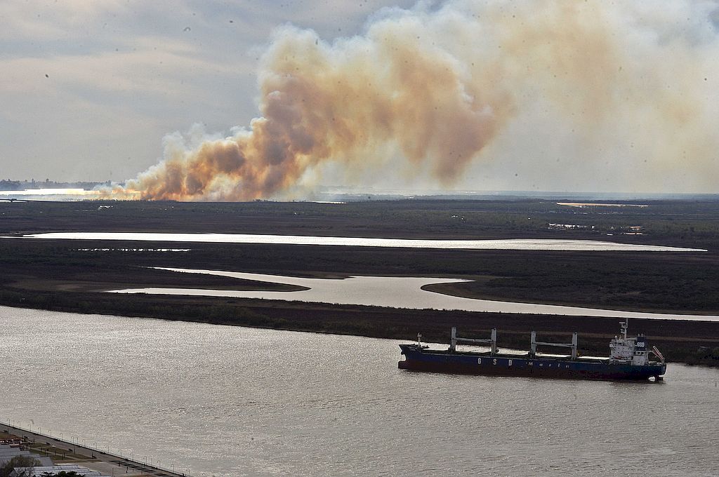 La Corte ordenó crear el Comité de Emergencia Ambiental para detener los incendios en el Delta