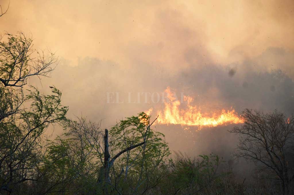 Por las quemas, evalúan prohibir la  circulación náutica en zona de islas