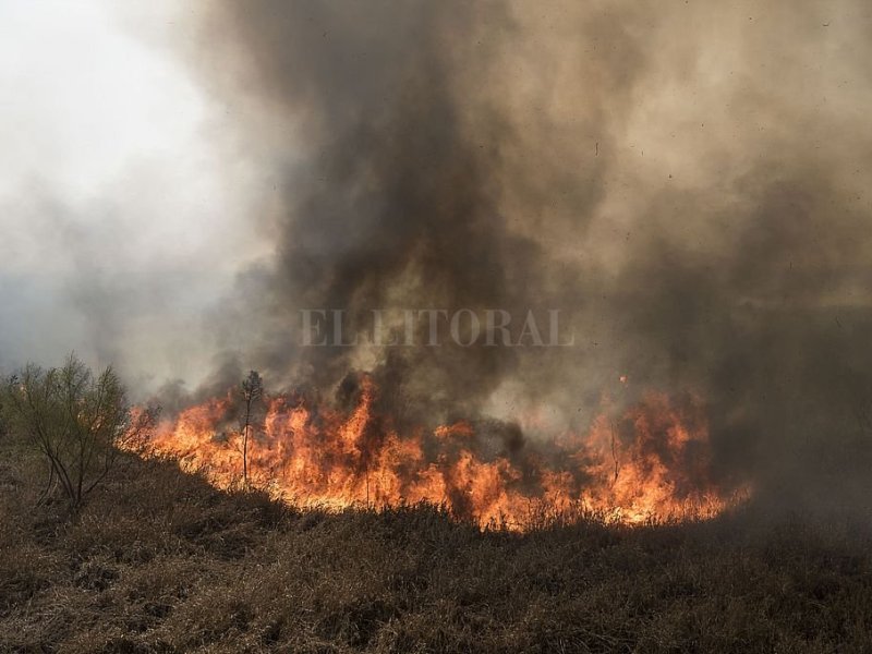 Hay más de 70 demandas contra dueños de campos por los incendios en las islas