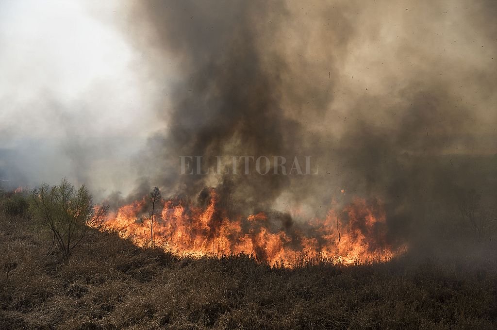 Hay más de 70 demandas contra dueños de campos por los incendios en las islas