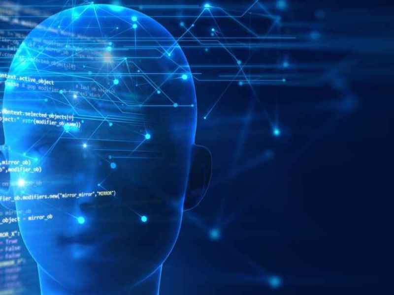 Ante lo incierto, el cerebro es una poderosa «calculadora» que busca opciones probables