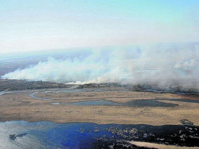 Por qué no cesan las quemas frente a Rosario
