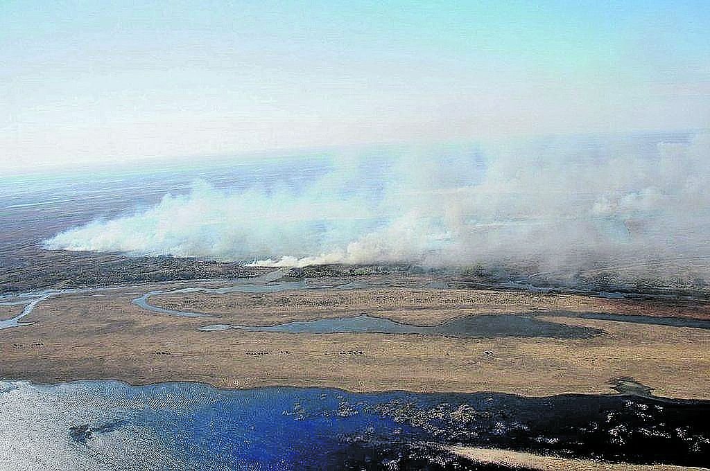 Por qué no cesan las quemas frente a Rosario