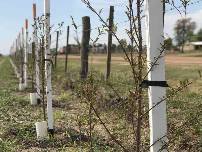 Lanzan el proyecto regional de «Corredores Biológicos» en San Carlos Norte
