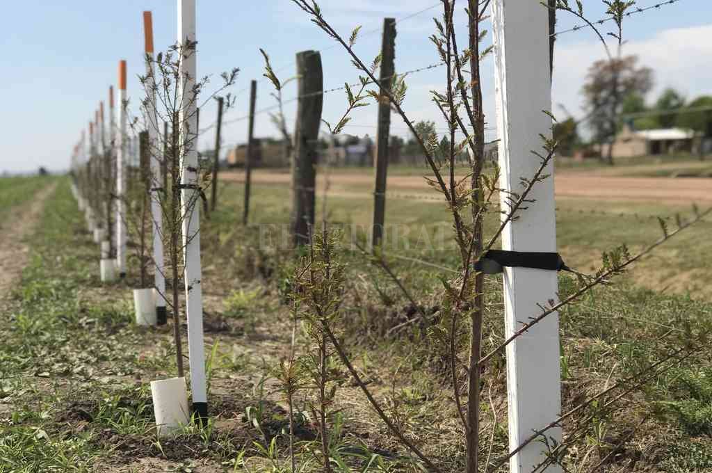 Lanzan el proyecto regional de «Corredores Biológicos» en San Carlos Norte