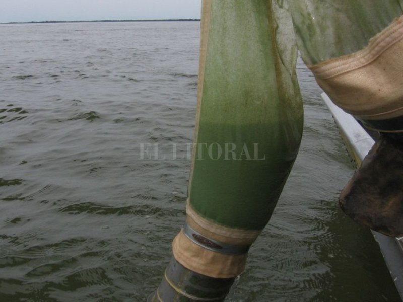 Las aguas verdes en lagunas y ríos  santafesinos pueden ser tóxicas