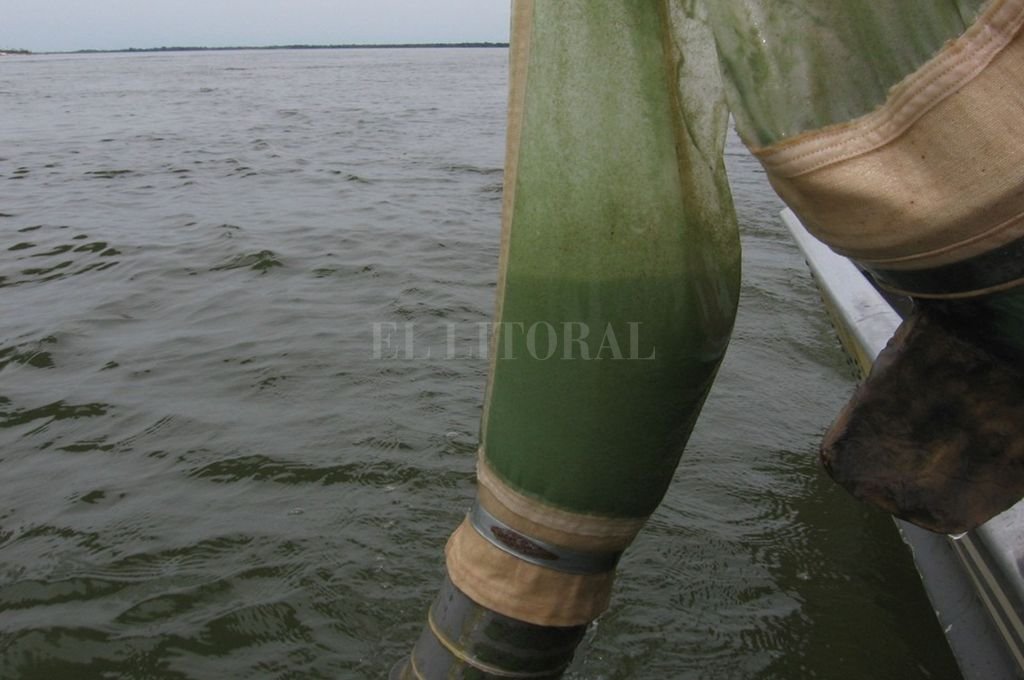 Las aguas verdes en lagunas y ríos  santafesinos pueden ser tóxicas