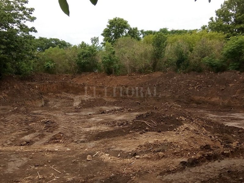 Construyen un lago para atraer aves silvestres que huyen de incendios en las islas del Paraná