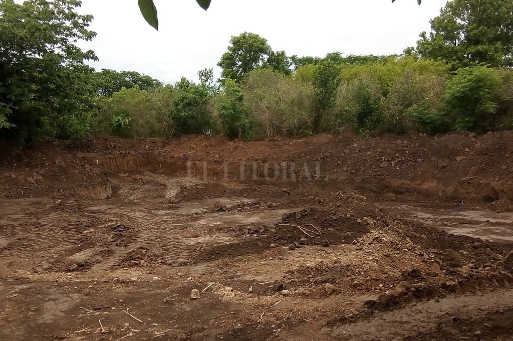 Construyen un lago para atraer aves silvestres que huyen de incendios en las islas del Paraná
