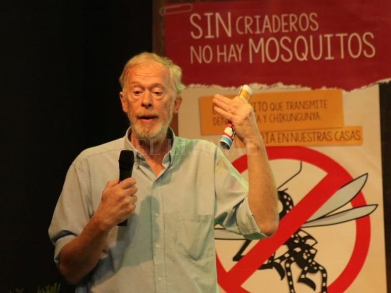 Cambio de estrategia: más que prevenir el dengue  hay que evitar la proliferación del Aedes Aegypti