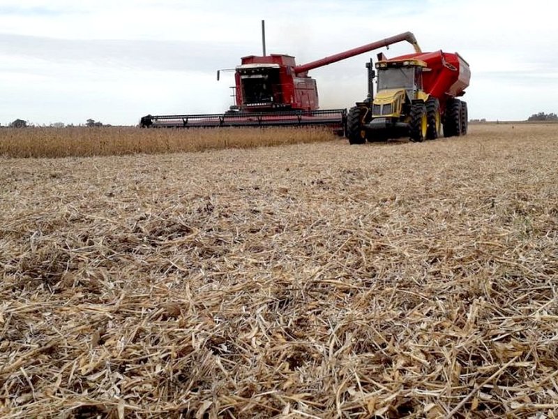 Las lluvias trajeron alivio al campo pero aún son insuficientes