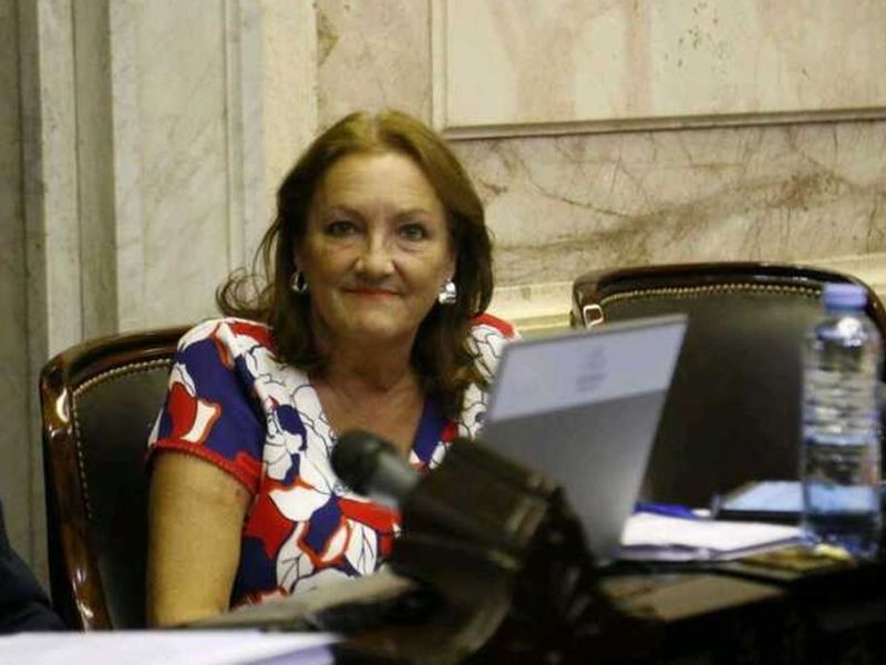 La Diputada Nacional Patricia Mounier hizo el balance de su año parlamentario