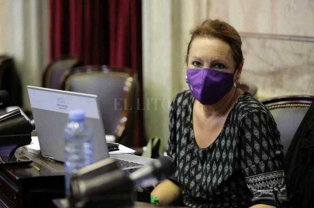 Patricia Mounier: «La no presencialidad es una decisión sanitaria»
