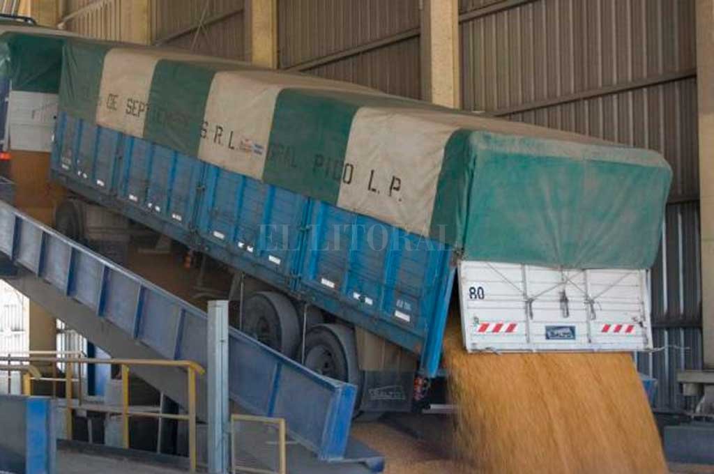 Baja en los precios de los granos en Rosario