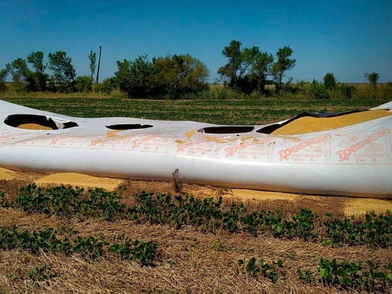 Rompieron un silobolsa y robaron toneladas de soja