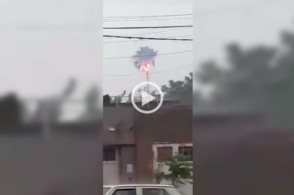 Video: en Rosario, un rayo impactó contra una palmera y la prendió fuego