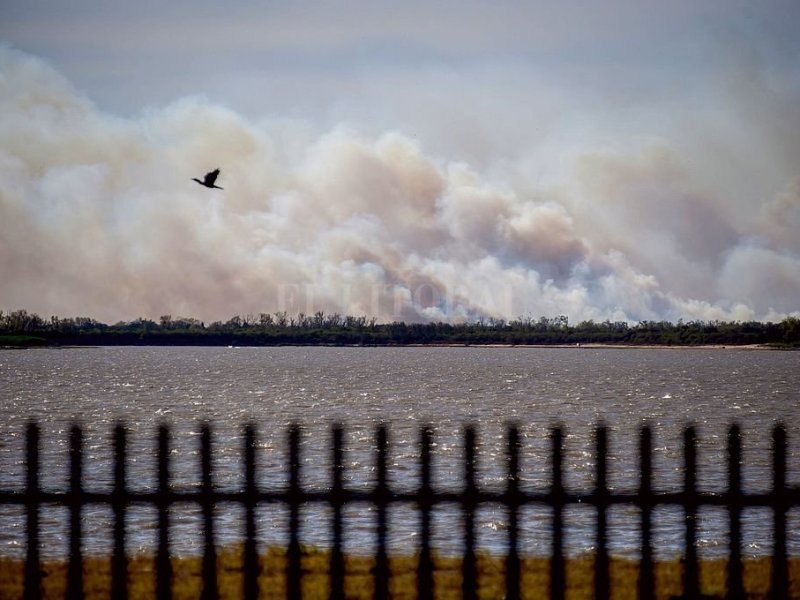 Delta del Paraná: «Toda la actividad productiva tiene que estar regulada en un espacio sensible»