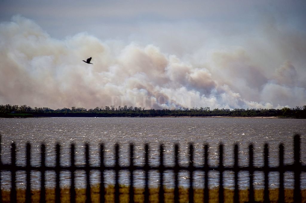 Delta del Paraná: «Toda la actividad productiva tiene que estar regulada en un espacio sensible»