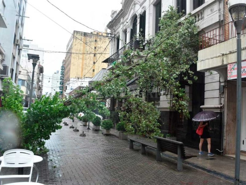 Tormenta en Santa Fe: cayeron 80 mm en promedio hasta el mediodía