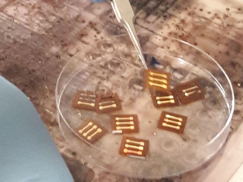 Investigador santafesino desarrolla un biosensor para tratar la «niebla mental»
