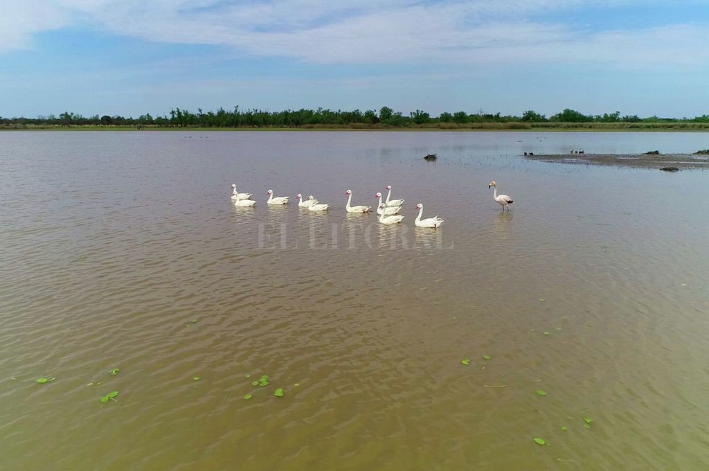Elaborarán un inventario de los humedales santafesinos