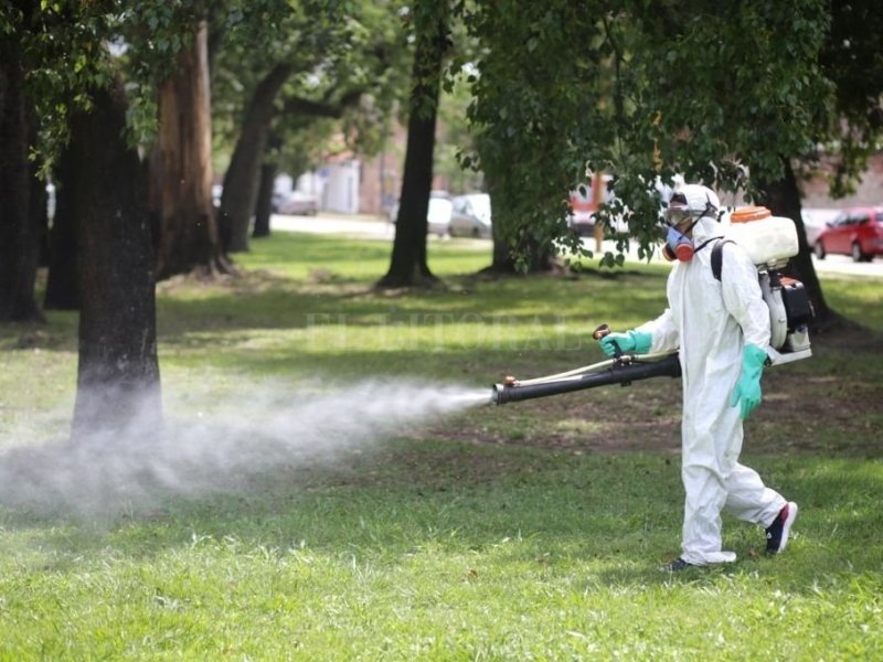 «La fumigación no es excesiva para que se reproduzcan los depredadores del Aedes»