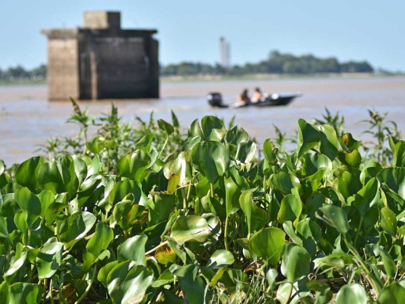 Sube el Río Paraná y vuelve a cambiar el paisaje costero en Santa Fe