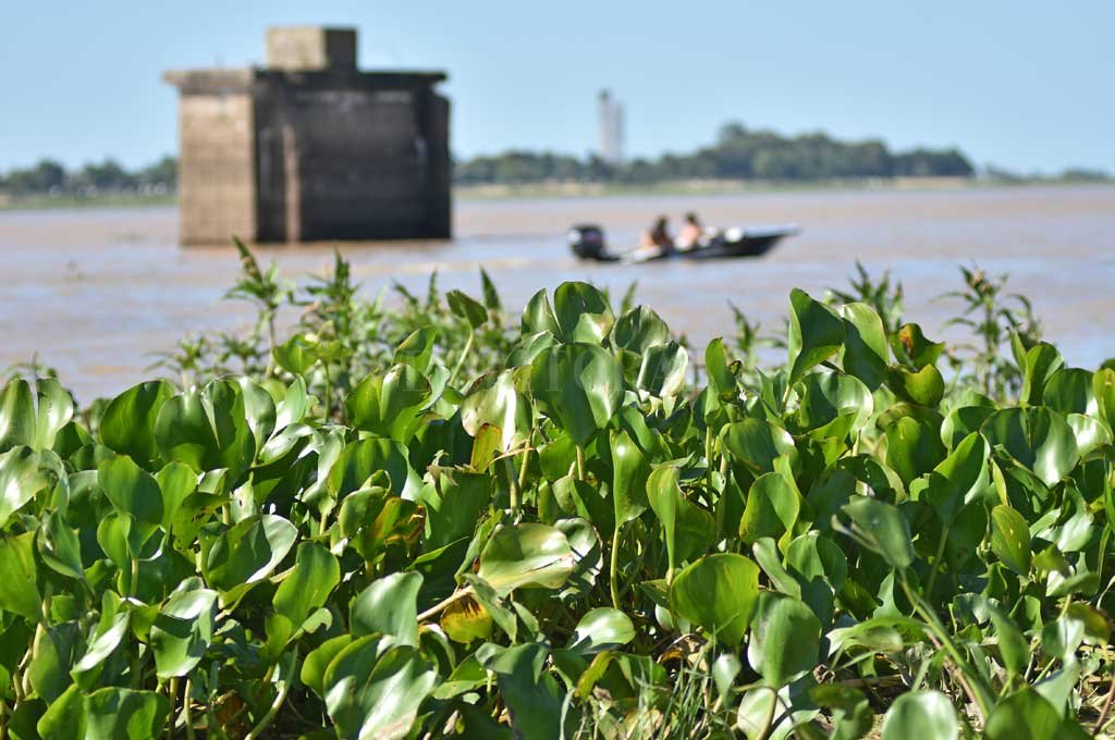Sube el Río Paraná y vuelve a cambiar el paisaje costero en Santa Fe
