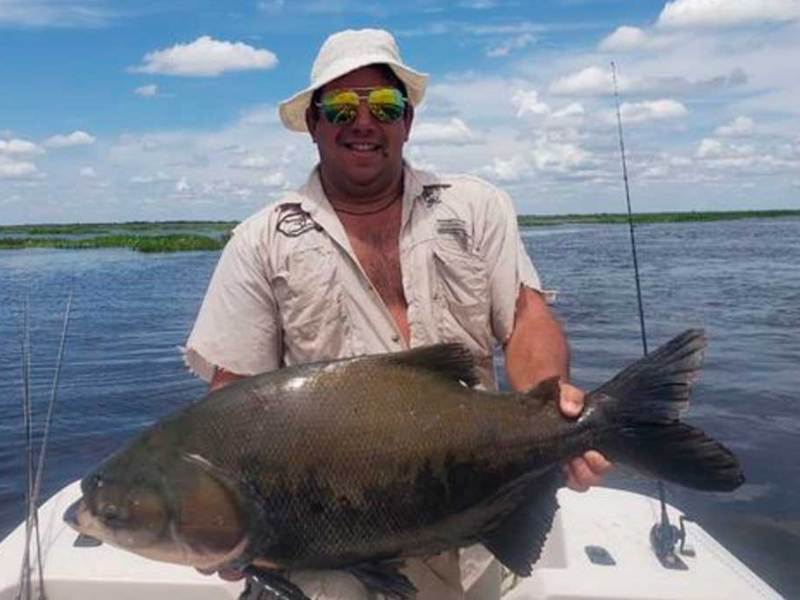 Sorpresa en el Paraná: pescaron una especie del Amazonas nunca vista