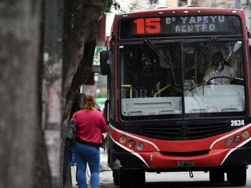 Paso a paso: cómo obtener el Boleto Educativo Gratuito en Santa Fe