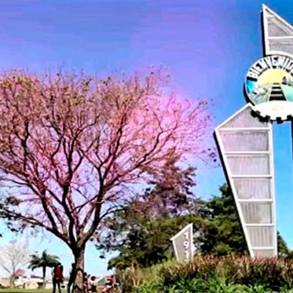 Estupor en el norte provincial: un productor encontró ovejas mutiladas y asegura que “no había una gota de sangre”