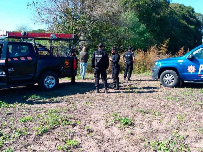 Un puma suelto tiene a maltraer a vecinos del sur de Santa Fe