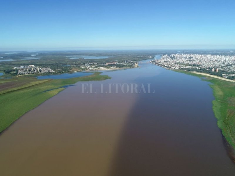 Juncos, sauces y alisos, son los nuevos habitantes del ¿río? Setúbal