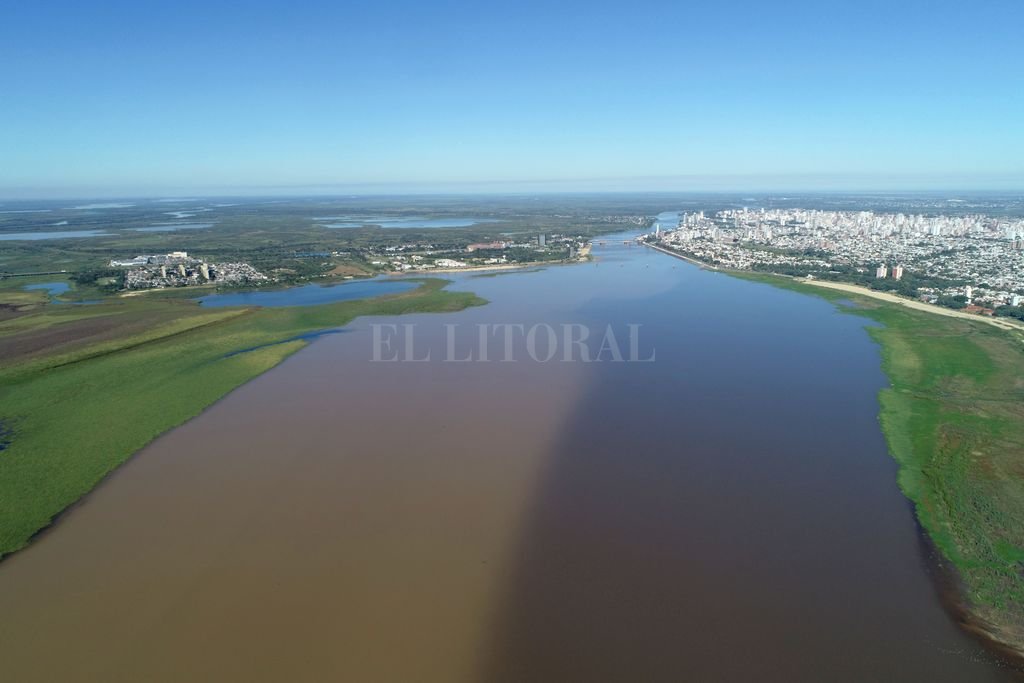 Juncos, sauces y alisos, son los nuevos habitantes del ¿río? Setúbal
