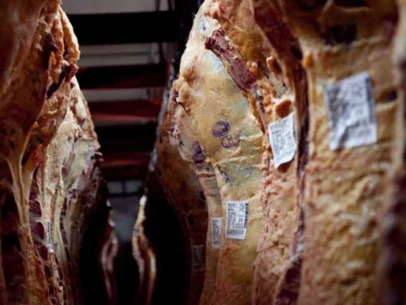 Según el interbloque de legisladores provinciales de la UCR, «suspender las exportaciones de carne no aportará soluciones»