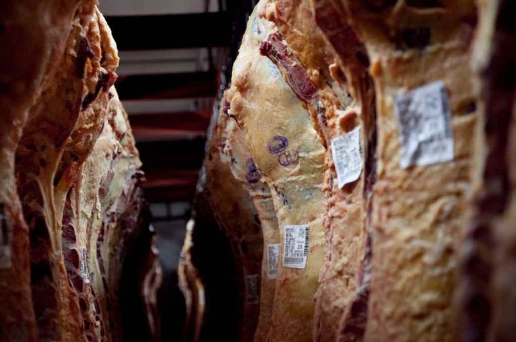 Según el interbloque de legisladores provinciales de la UCR, «suspender las exportaciones de carne no aportará soluciones»