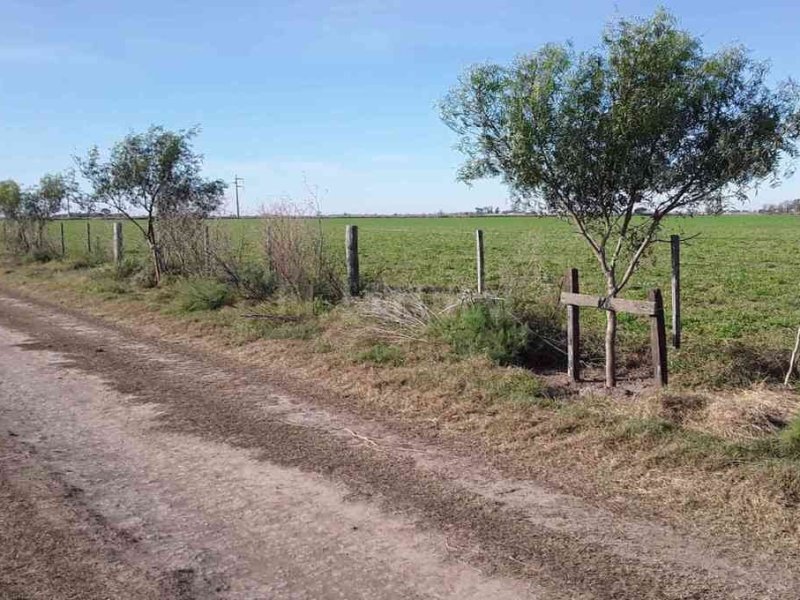 Biocorredores y Turismo de Cercanía: sancarlinos exponen sobre la experiencia en la región
