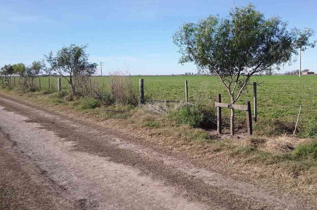 Biocorredores y Turismo de Cercanía: sancarlinos exponen sobre la experiencia en la región