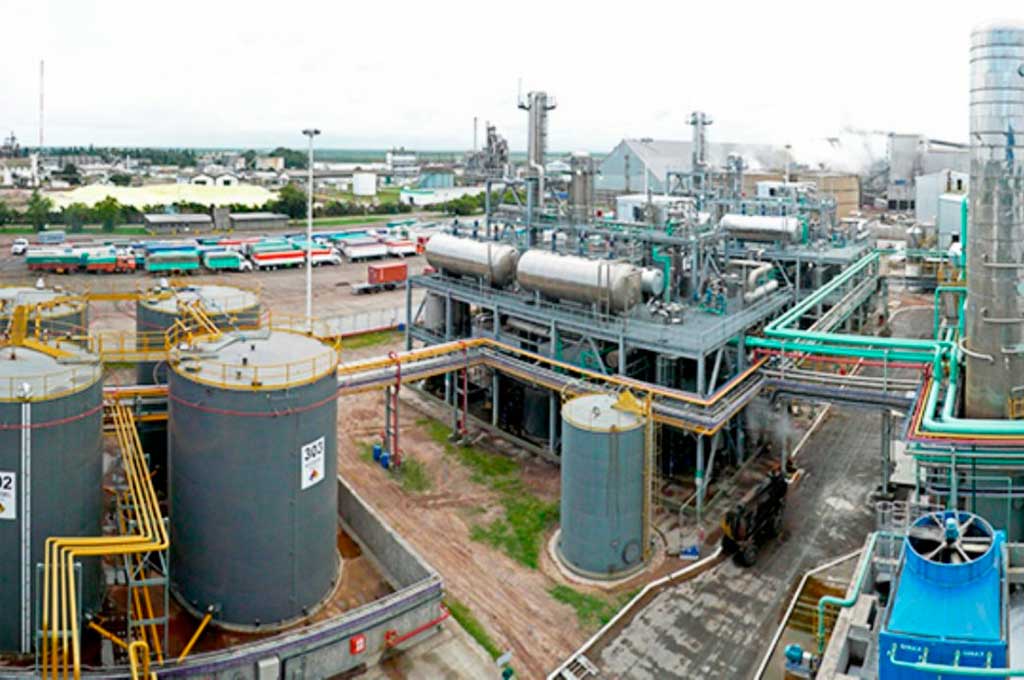 Cleri justificó el nuevo marco regulatorio de biocombustibles