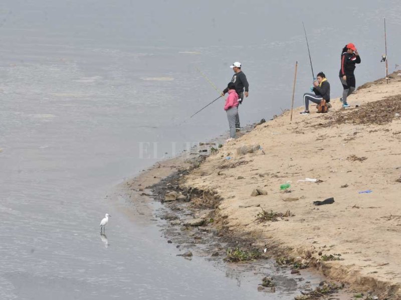 Bajante del Paraná: por la desconexión de  afluentes peligra la supervivencia de peces